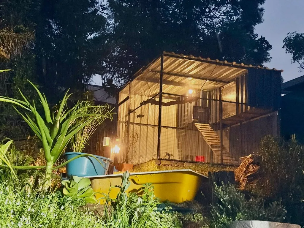 The duck pen lit up at night, with its ramp and the yellow bathtub pond in the garden